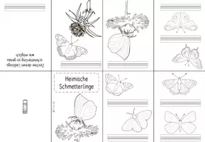 Vorschau - Mal- und Bastelvorlagen - Schmetterlinge - Lapbook für die 1. und 2. Klasse - Seite 2