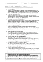 Vorschau - Arbeitsblätter - AB mit Fragen zum Thema "Kopfläuse" + Lösungsblatt + Mindmap + Infografik - Seite 3