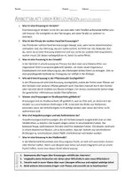 Vorschau - Arbeitsblätter - AB mit Fragen zum Thema "Kreuzungen" + Lösungsblatt - Seite 1