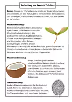 Vorschau - Arbeitsblätter - Samenverbreitung Arbeitsblatt Klasse 5–7 – Verbreitung von Früchten & Samen (Biologie, mit Lösungen) - Seite 1