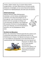 Vorschau - Arbeitsblätter - Samenverbreitung Arbeitsblatt Klasse 5–7 – Verbreitung von Früchten & Samen (Biologie, mit Lösungen) - Seite 2