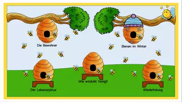 Vorschau - Präsentationen/Tafelbilder - Die Biene - Interaktive PowerPoint - Seite 3