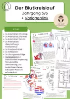 Vorschau - Unterrichtsreihen - Der Blutkreislauf des Menschen Jg. 5 + 6 Bio NaWi Gymnasium Gesamtschule differenziert kooperativ Herz-Kreislauf - Deckblatt