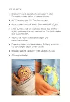 Vorschau - Mal- und Bastelvorlagen - Freund für den Schulstart - Bügelbild und Nähanleitung - Seite 2