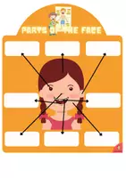 Vorschau - Spiele - Parts of the body vocabulary in english - Seite 1