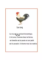 Aperçu - Fiches - Rallye de lecture- Les animaux - Page 1
