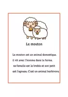 Aperçu - Fiches - Rallye de lecture- Les animaux - Page 3
