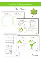 Vorschau - Arbeitsblätter - Der Ahorn - Forschen und Experimentieren - Deckblatt