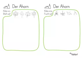 Vorschau - Arbeitsblätter - Der Ahorn - Forschen und Experimentieren - Seite 1