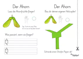 Vorschau - Arbeitsblätter - Der Ahorn - Forschen und Experimentieren - Seite 3