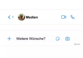 Vorschau - Anderer Materialtyp - Medien - Reihentransparenz - Seite 2