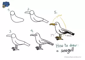 Vorschau - Stationenlernen - Brown Owl At the seashore - HOW TO DRAW ANIMALS - Seite 2