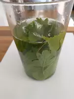 Vorschau - Videos - Rezept grüner Smoothie - Vorgangsbeschreibung - Deckblatt