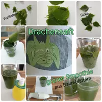 Vorschau - Videos - Rezept grüner Smoothie - Vorgangsbeschreibung - Seite 2