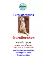 Vorschau - Unterrichtsreihen - Tierbeschreibung : Erdmännchen (Infos & 5 Aufträge) - Deckblatt