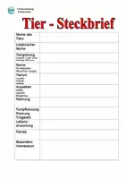 Vorschau - Unterrichtsreihen - Tierbeschreibung : Erdmännchen (Infos & 5 Aufträge) - Seite 3