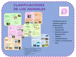 Vista previa - Tarjetas / Manipulativos - CLASIFICACIONES DE ANIMALES LÁPIZ LILA 2 - Portada