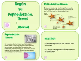 Vista previa - Tarjetas / Manipulativos - CLASIFICACIONES DE ANIMALES LÁPIZ LILA 2 - página 1