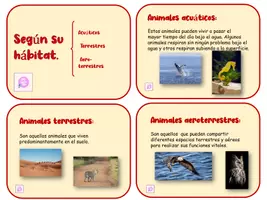 Vista previa - Tarjetas / Manipulativos - CLASIFICACIONES DE ANIMALES LÁPIZ LILA 2 - página 2