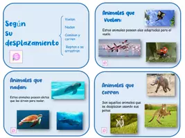 Vista previa - Tarjetas / Manipulativos - CLASIFICACIONES DE ANIMALES LÁPIZ LILA 2 - página 3