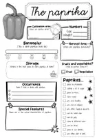 Vorschau - Arbeitsblätter - The Paprika profile fact sheet (englisch) - Seite 2