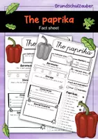 Vorschau - Arbeitsblätter - The Paprika profile fact sheet (englisch) - Deckblatt
