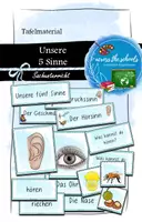 Vorschau - Anderer Materialtyp - Unsere fünf Sinne: Tafelmaterial - Deckblatt