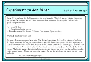 Vorschau - Arbeitsblätter - Unsere fünf Sinne: Materialpaket - Seite 3