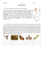 Vorschau - Stundenentwürfe - Unterrichtsstunde - Insekten: 02 Aktive Bewegung - Seite 3