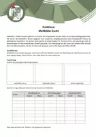 Vorschau - Arbeitsblätter - Experiment - Mehlkäfer-Zucht (B9) - Deckblatt