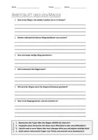 Vorschau - Arbeitsblätter - AB mit Fragen zum Thema "Magen" + Lösungsblatt + Infografik - Deckblatt