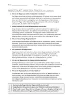 Vorschau - Arbeitsblätter - AB mit Fragen zum Thema "Magen" + Lösungsblatt + Infografik - Seite 2