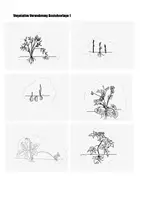 Vorschau - Arbeitsblätter - 🌿 Vegetative Vermehrung - 3D Bastelvorlage - Seite 1