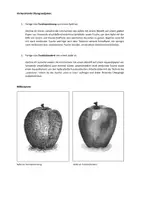 Vorschau - Bildkarten - Kunstprojekt: Serielles Arbeiten mit Tusche - Seite 3