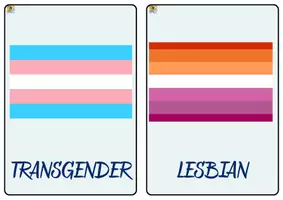 Vista previa - Refuerzo / NEE / Materiales de apoyo - LGBTI+QA Flashcards in English! - página 2