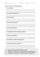 Vorschau - Arbeitsblätter - AB mit Fragen zum Thema "Meisen" + Lösungsblatt + Infografik - Deckblatt