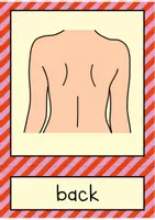 Vorschau - Fördermaterial/Inklusion - Body parts: Flash Cards / Bild- und Wortkarten (Englisch) - Seite 2