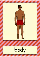 Vorschau - Fördermaterial/Inklusion - Body parts: Flash Cards / Bild- und Wortkarten (Englisch) - Seite 3