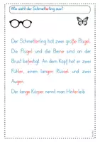 Vorschau - Poster - Informationstexte zu dem Schmetterling - mit Silbenschrift - Seite 3