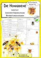 Vorschau - Stationenlernen - Materialpaket "Biene" - Seite 1