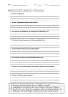 Vorschau - Arbeitsblätter - AB mit Fragen zum Thema "Monsun" + Lösungsblatt + Mindmap + Infografik - Deckblatt