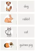Vorschau - Fördermaterial/Inklusion - pets: flashcards (animals) - Seite 3