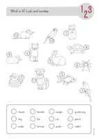 Vorschau - Arbeitsblätter - Pets & Animal Body Parts - Materialpaket - Seite 1