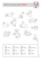 Vorschau - Arbeitsblätter - Pets & Animal Body Parts - Materialpaket - Seite 2