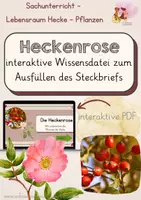 Vorschau - Interaktives Material - Die Heckenrose - interaktive Datei - Deckblatt