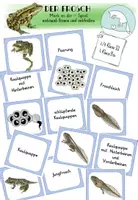 Vorschau - Spiele - Frosch - Merk es dir Spiel - Deckblatt