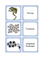 Vorschau - Spiele - Frosch - Merk es dir Spiel - Seite 2