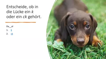 Vorschau - Spiele - Materialpaket ck/tz - Seite 3