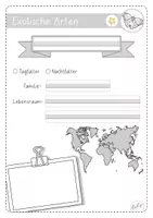 Vorschau - Arbeitsblätter - Schmetterlinge - Exotische Arten - Seite 2