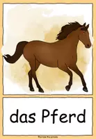 Vorschau - Bildkarten - Bauernhoftiere & Haustiere: Tafelmaterial - Seite 2